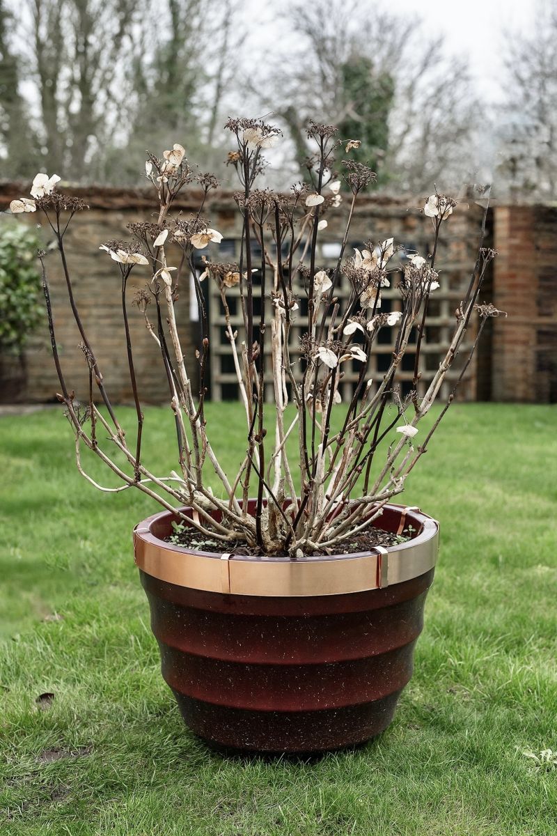 Copper & Green launches new Copper Pot Rings - Garden Centre Buyer