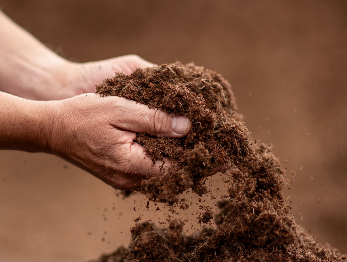 Durstons urges retailers: get ahead of the peat ban