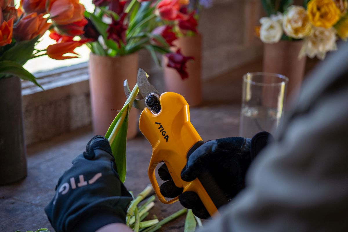 STIGA Gardens of Europe survey shows rise in Urban Gardening