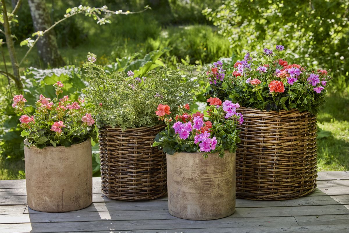 LECHUZA reveals the design-led outdoor living trends taking over UK homes
