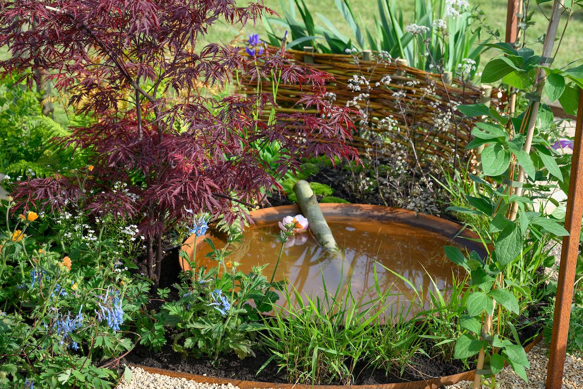 Applications open for BBC Gardeners’ World Beautiful Borders 2027